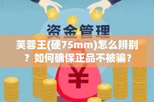 芙蓉王(硬75mm)怎么辨别？如何确保正品不被骗？